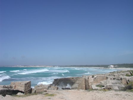 Beach near Sa Rapita